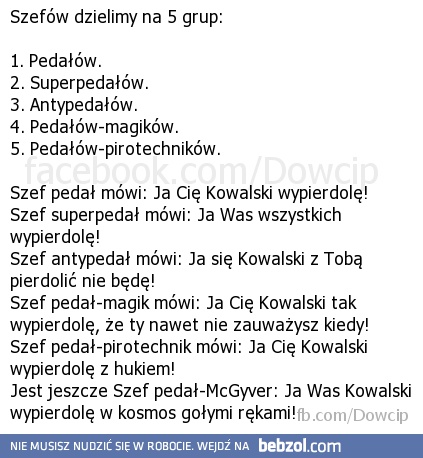 A jaki jest Twój szef?