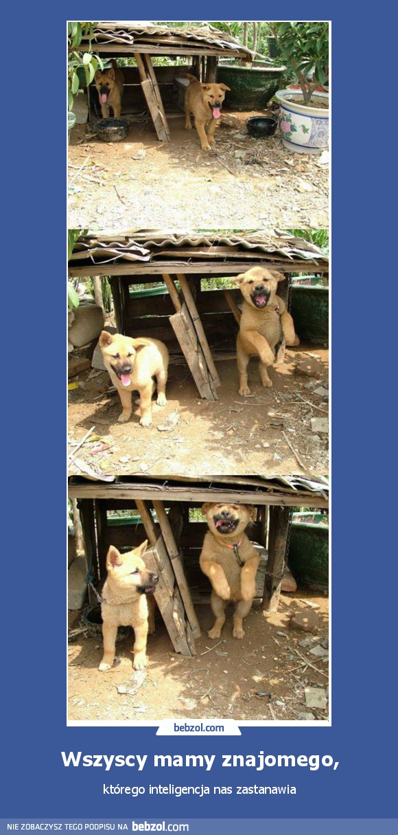 Wszyscy mamy znajomego,