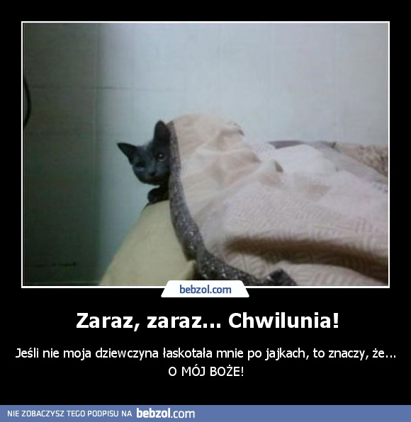 Zaraz, zaraz... Chwilunia!