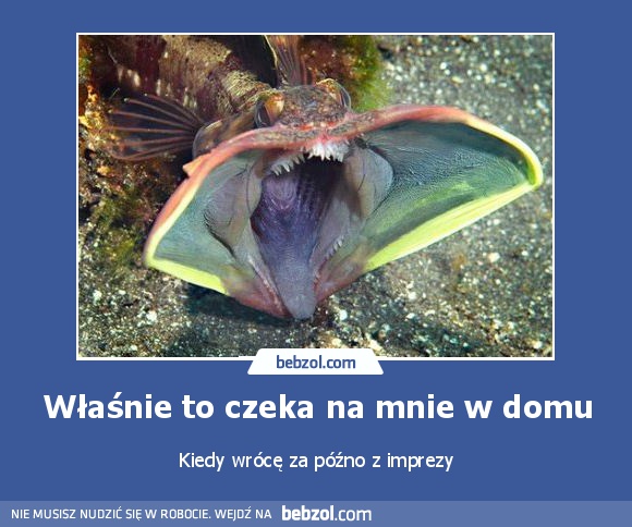 Właśnie to czeka na mnie w domu