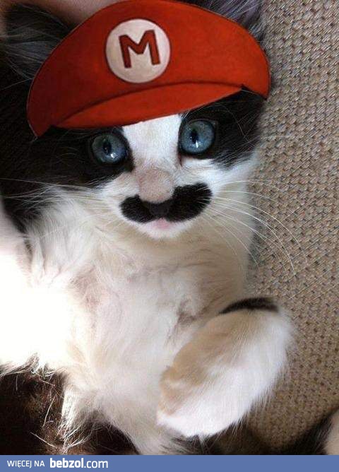 Mario