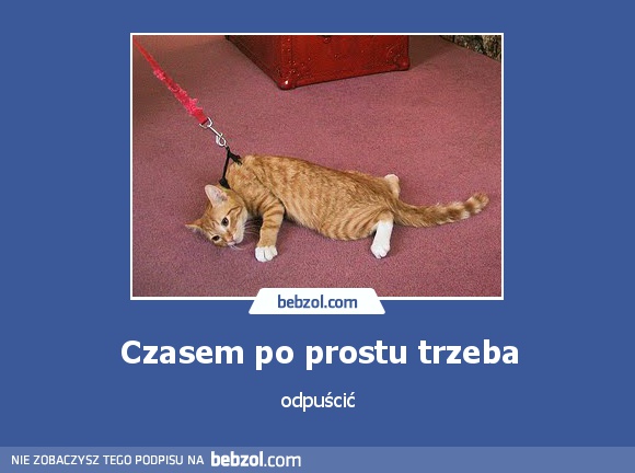 Czasem po prostu trzeba