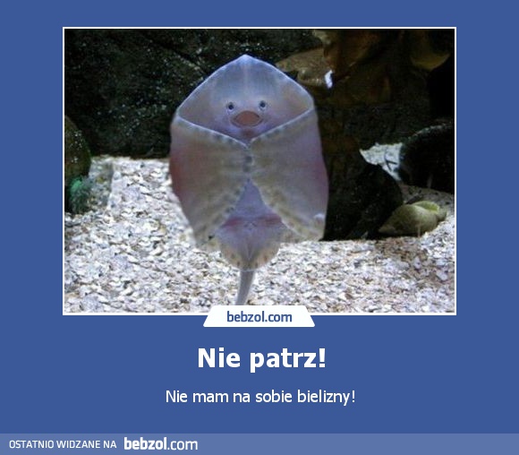 Nie patrz!