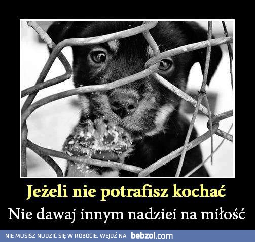 Nadzieja na miłość