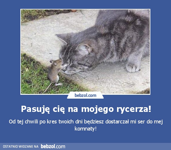 Pasuję cię na mojego rycerza!