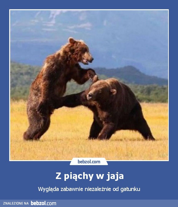 Z piąchy w jaja