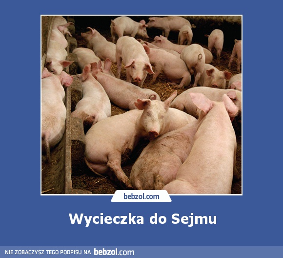 Wycieczka do Sejmu