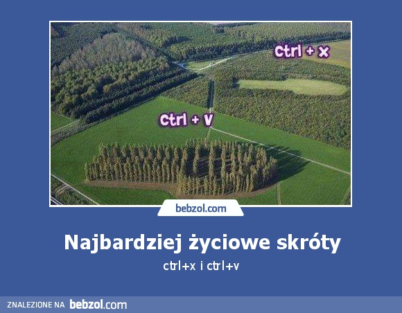 Najbardziej życiowe skróty