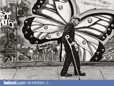 Motyl