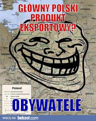 Główny polski produkt eksportowy