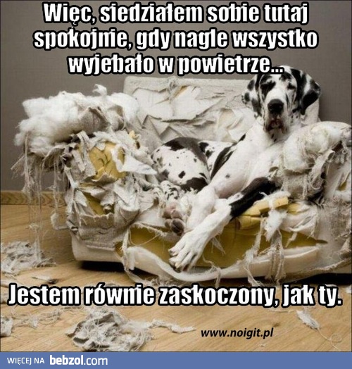 Siedziałem spokojnie, gdy nagle...