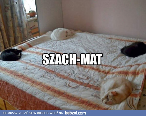 Szach-mat!