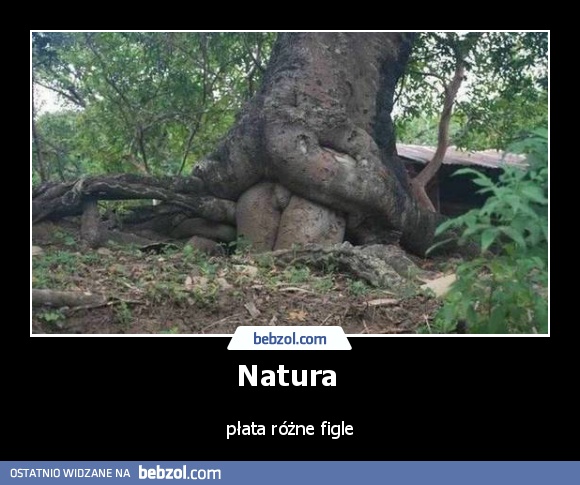 Natura 