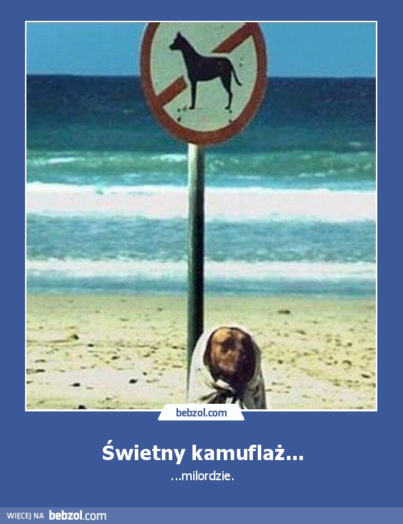 Świetny kamuflaż...