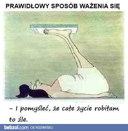 Prawidłowy sposób ważenia