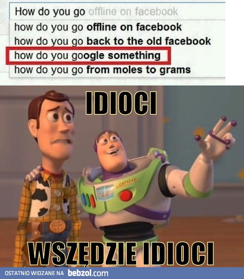 Wszędzie idioci