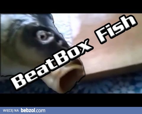 Beatbox Fish