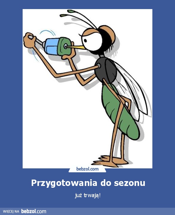 Przygotowania do sezonu