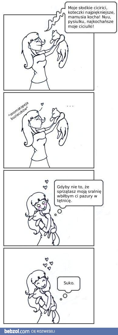 Koty