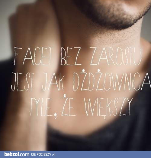 Lubię męski zarost