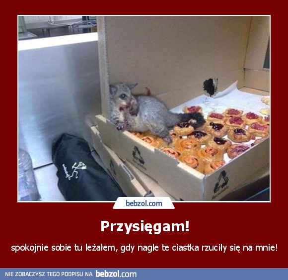 Przysięgam!