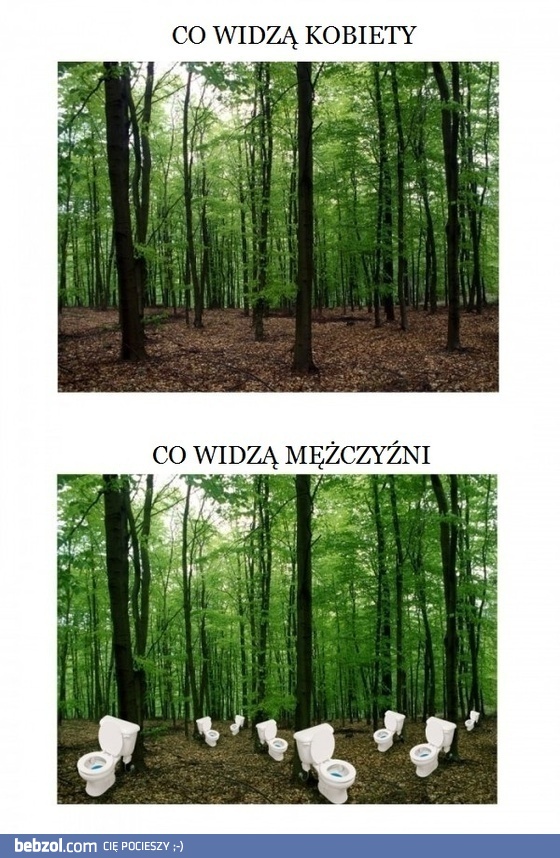 Las oczami facetów