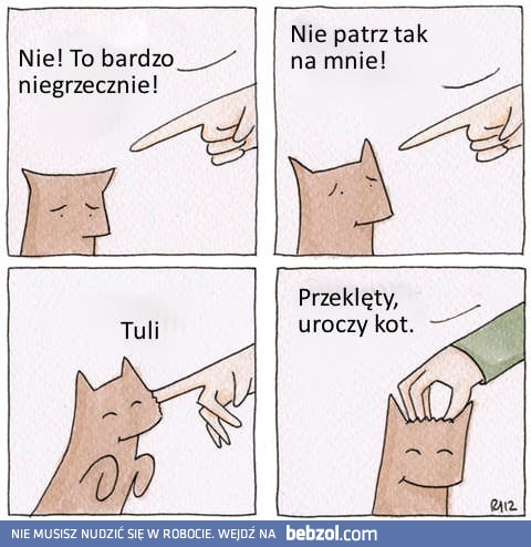 Zły koteczek