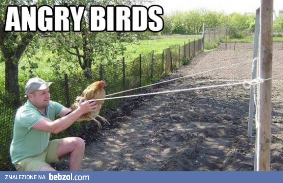 Angry Birds w realu