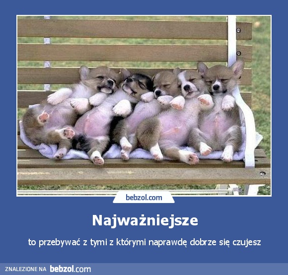 Najważniejsze