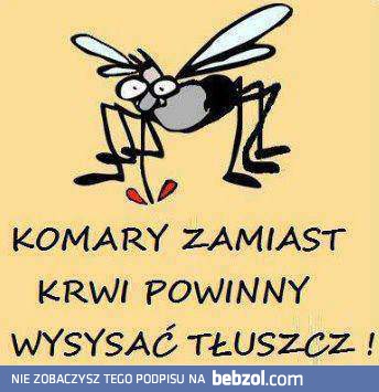 Komary powinny...