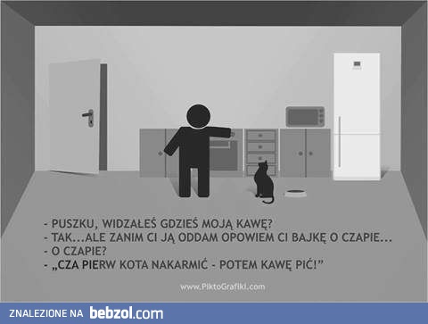Jak dobrze jest mieć kotka