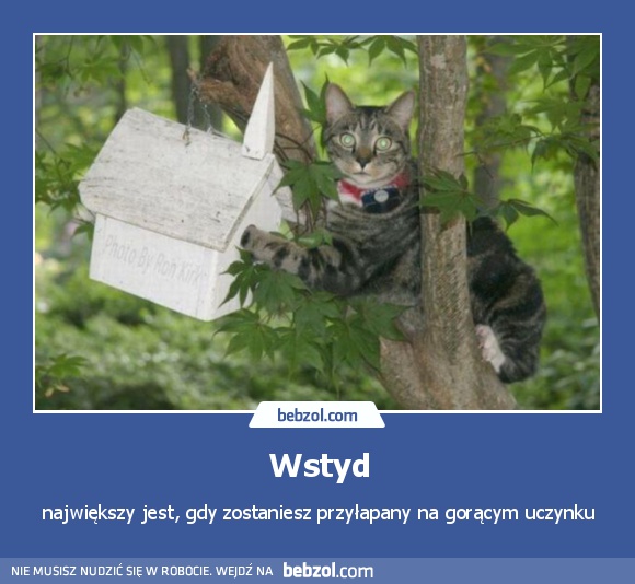 Wstyd