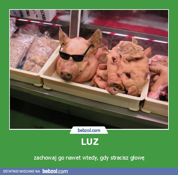 LUZ