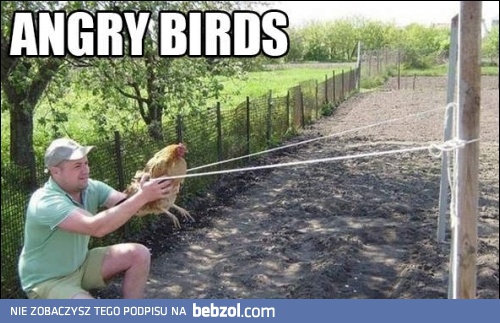 Prawdziwe Angry Birds
