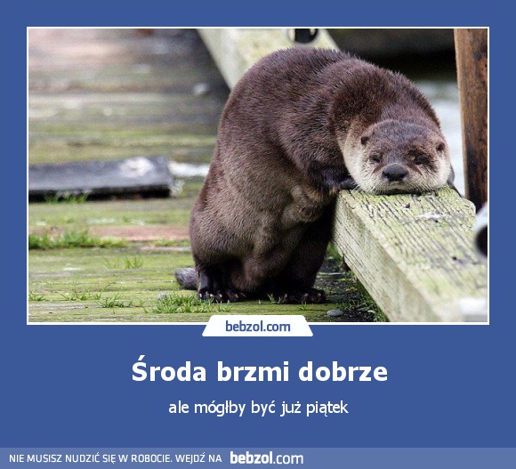 Środa brzmi dobrze