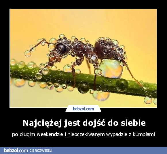 Najciężej jest dojść do siebie