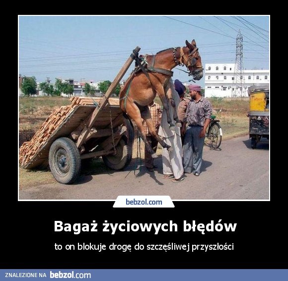 Bagaż życiowych błędów