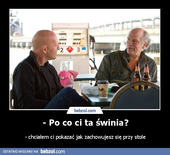 - Po co ci ta świnia?