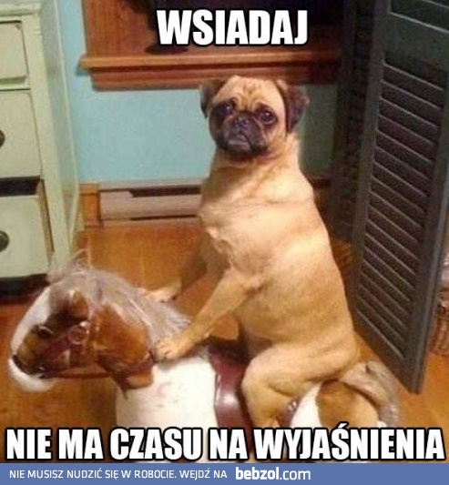 Nie ma czasu na wyjaśnienia