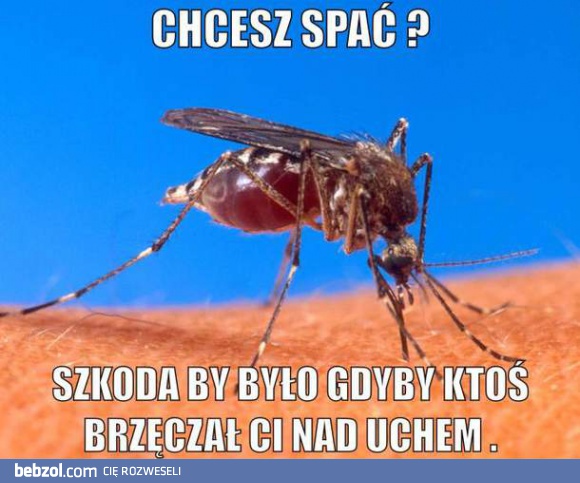 Chcesz spać? Jaka szkoda?