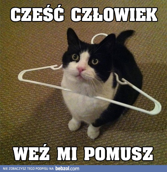 Cześć człowiek