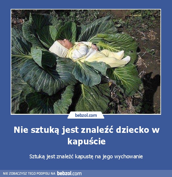 Nie sztuką jest znaleźć dziecko w kapuście. Sztuką jest...