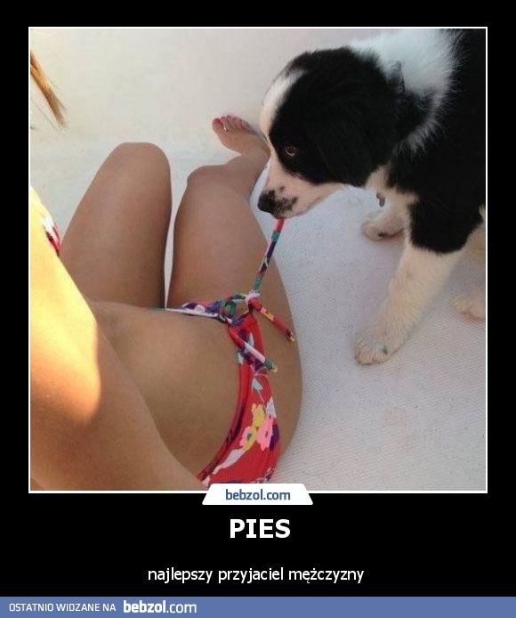 PIES