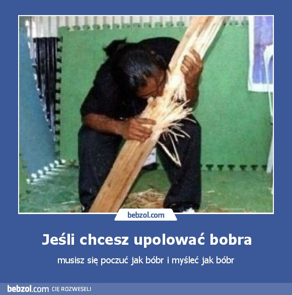 Jeśli chcesz upolować bobra