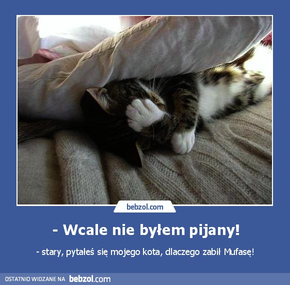 - Wcale nie byłem pijany!