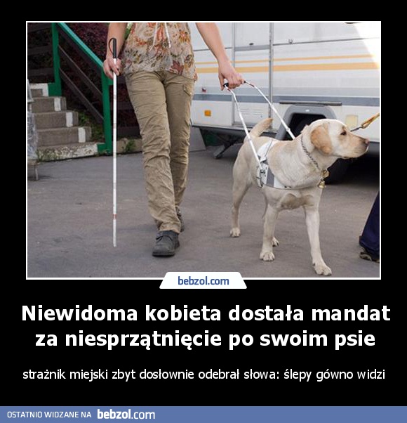 Niewidoma kobieta dostała mandat za niesprzątnięcie po swoim psie