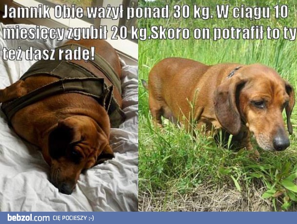 Jak chcesz to potrafisz!