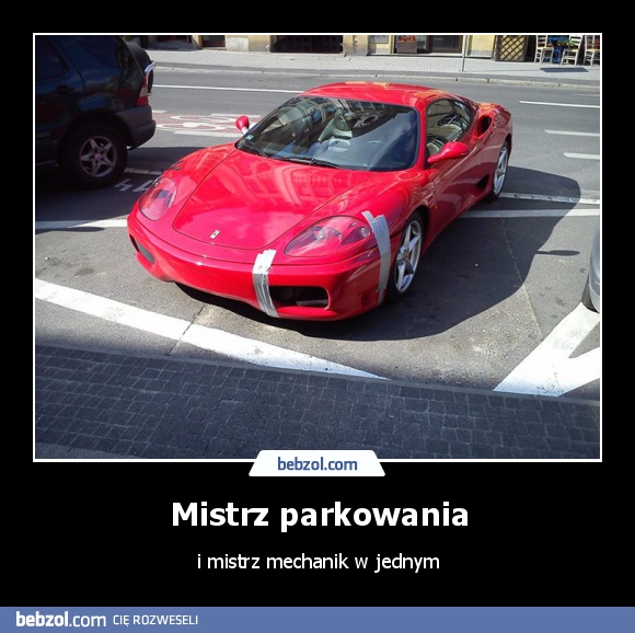 Mistrz parkowania