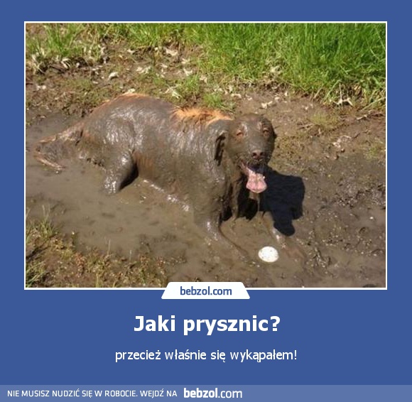 Jaki prysznic?