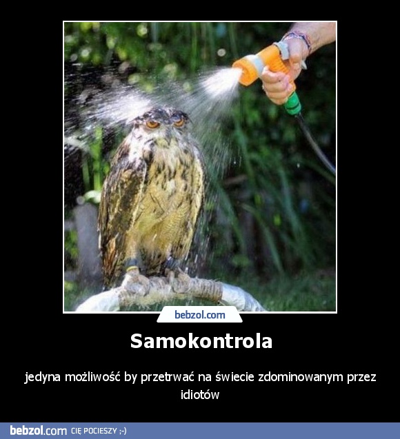 Samokontrola